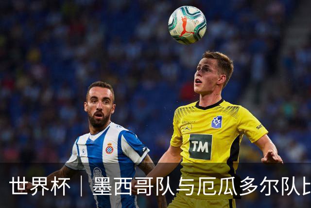 世界杯｜墨西哥队与厄瓜多尔队比赛因雷雨延迟